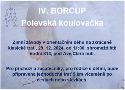 IV. BORCUP - 29.12.2024, zimní závody v orientačním běhu